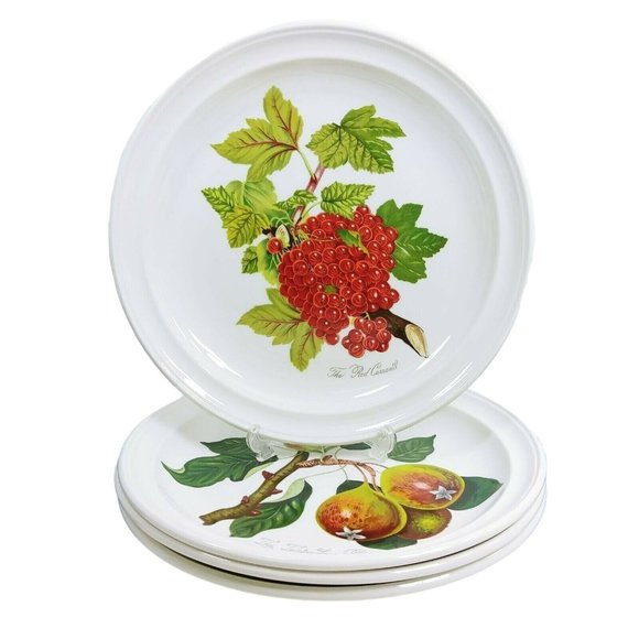 Portmeiron Ponoma Dinner Plates 4 Pc Susan Williams-Ellis - Picture 5 of 9